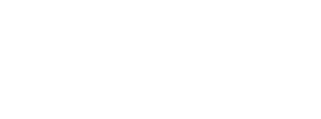 Dr. Alesson Bernini